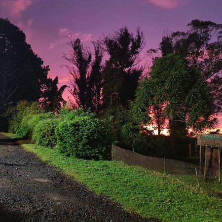 Natures Retreat Hotels And Resorts Ooty Luaran gambar