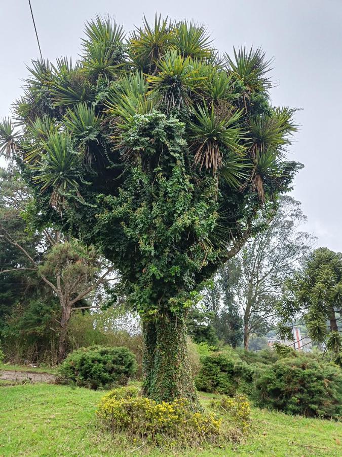 Natures Retreat Hotels And Resorts Ooty Luaran gambar